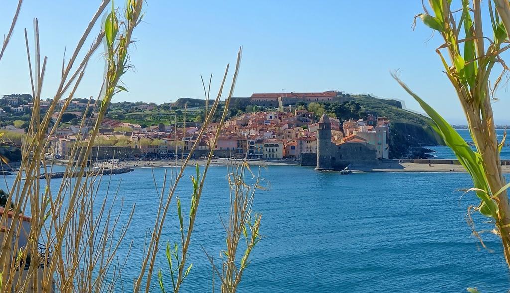 Le Clos Saint Elme Колюр Екстериор снимка