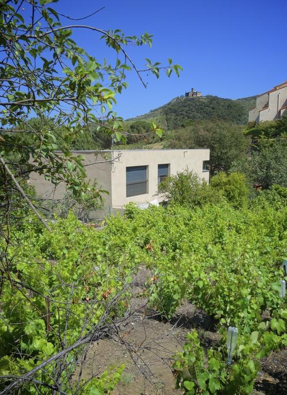 Le Clos Saint Elme Колюр Екстериор снимка